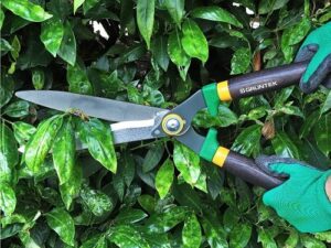 Ножиці для живоплоту Gruntek Panthera 640 мм (295304530)