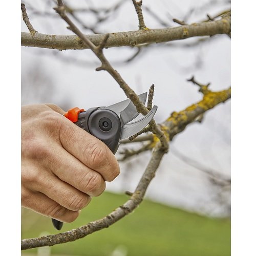 Секатор Gardena ExpertCut обвідний 22 мм(12203-20.000.00) Секатор Gardena ExpertCut обвідний 22 мм(12203-20.000.00)
