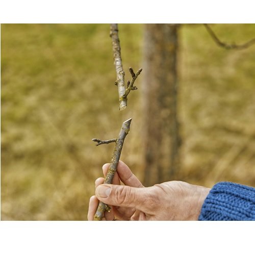 Секатор Gardena ExpertCut обвідний 22 мм(12203-20.000.00) Секатор Gardena ExpertCut обвідний 22 мм(12203-20.000.00)